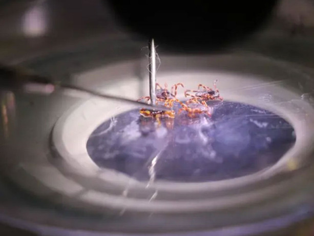 Can kaybı üçe yükseldi! İşte en riskli 5 şehir