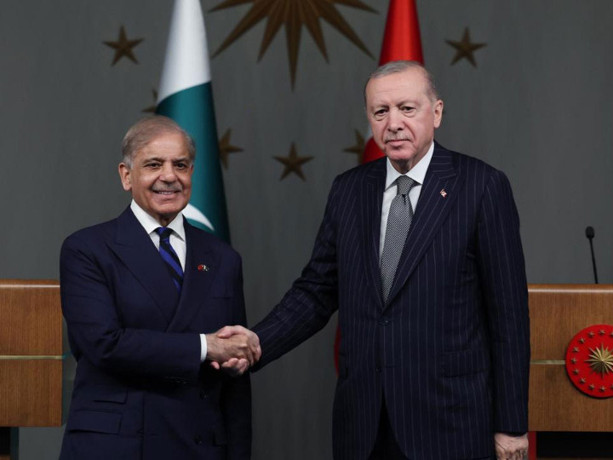 Cumhurbaşkanı Erdoğan: Barış için kardeş ülkelerle dayanışmayı sürdüreceğiz