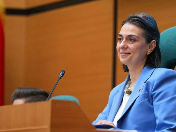 Gözaltındaki Sinem Dedetaş’tan ilk açıklama