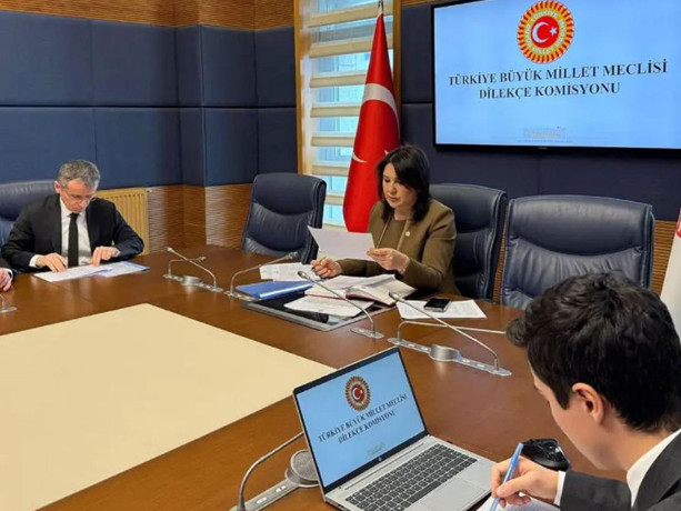 TBMM Dilekçe Komisyonu'na ilginç talepler! "İstanbul kışlık, Ankara yazlık başkent olsun"