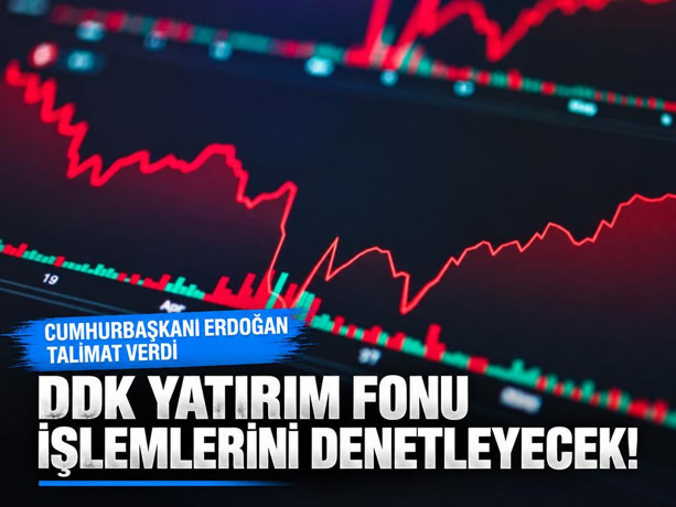 Devlet Denetleme Kurulu yatırım fonu işlemlerini denetleyecek