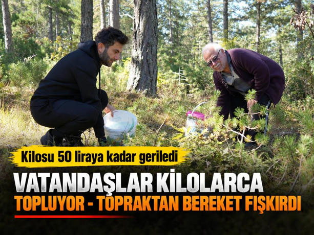 Kovalarını alan ormana koştu: Kilosu 50 liraya kadar geriledi