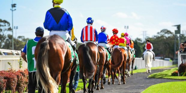 Gazi koşusu nedir? - Resim : 1