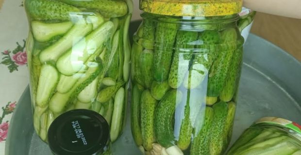 Kolayı varken zoru seçmişiz hep. Turşu yaparken nelere dikkat edilmeli? Tarihi turşucunun 3. kuşak kuşak temsilcisi püf noktaları verdi - Resim : 2