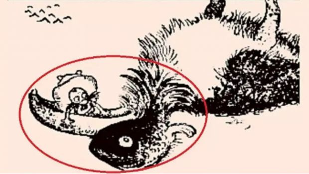 Balığı kime sorsak göremiyor: Optik yanılsamayı 10 saniyede geçebilir misiniz? - Resim : 3