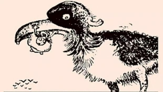 Balığı kime sorsak göremiyor: Optik yanılsamayı 10 saniyede geçebilir misiniz? - Resim : 2