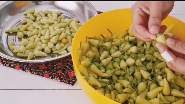 Cin biber turşusunun erimesine yol açan hata. Birçok ev hanımı bilmeden uyguluyor… - Resim : 1