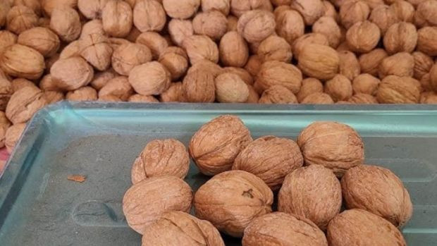 Küçüklükten beri yanlış öğrenmişiz! Ceviz ağacının dibinde gerçekte neden oturulmaz? - Resim : 4