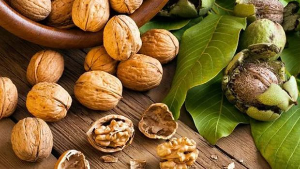 1 çay kaşığı bile hafızayı uçuruyor! Beyne direkt etki etmesi için süte karıştırıp için - Resim : 4