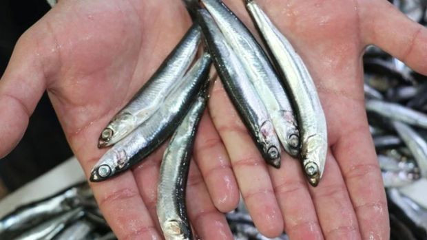 Fiyatıyla yüz güldürüyor. Doğru tüketildiğinde tek başına D vitamini ihtiyacını gideriyor! - Resim : 1