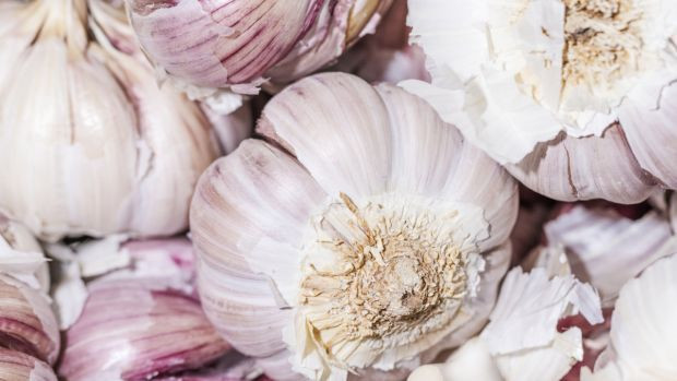 Sarımsakları böyle saklamalısınız; Aylarca filizlenmiyor ve yeşillenmiyor. - Resim : 3