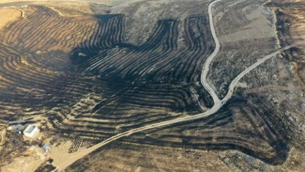 Diyarbakır ve Mardin'deki yangında 6 kişi can verdi: Felaketin boyutu gün ağarınca ortaya çıktı - Resim : 2