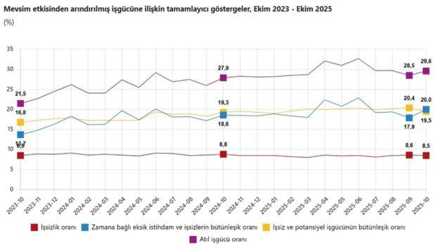 TÜİK işsizlik rakamlarını duyurdu: Gençlerde artış, genel oranda düşüş - Resim : 2