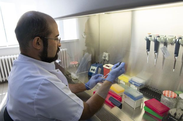 Türkiye'de insanları enfekte edebilen kene kaynaklı yeni bir bakteri görüldü - Resim : 1