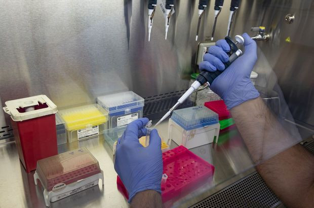 Türkiye'de insanları enfekte edebilen kene kaynaklı yeni bir bakteri görüldü - Resim : 2