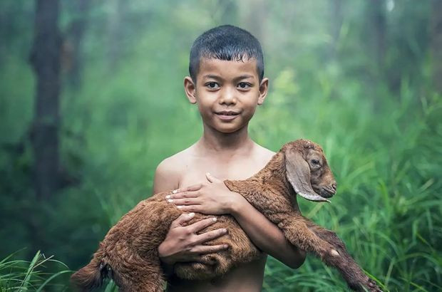 Adak kurbanı nedir? şartları nelerdir? - Resim : 1