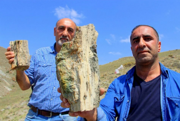 160 milyon yıllık keşif: İlk günkü gibi - Resim : 1