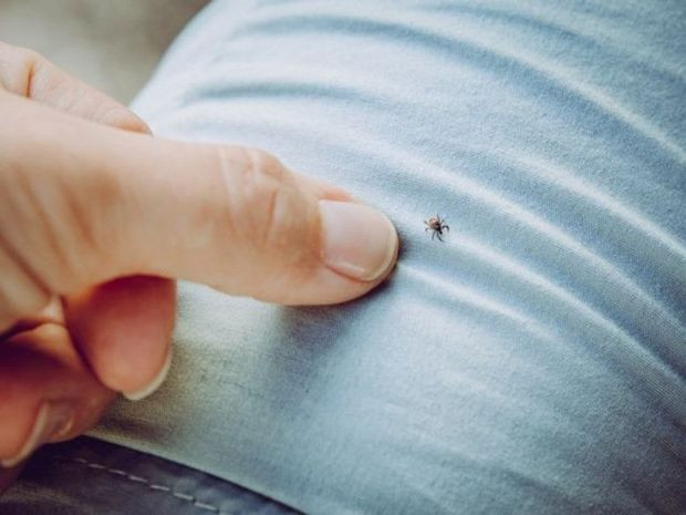 KKKA aşısında sevindiren gelişme: Dünyada FAZ-1 çalışması tamamlanan ilk aşı - Resim : 2