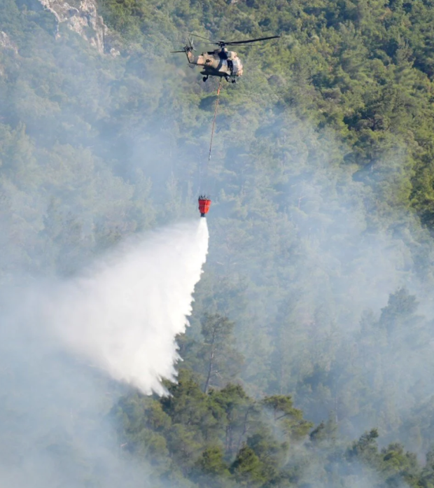 Orman yangınlarında son durum: Manisa, Uşak ve Muğla'daki yangınlar kontrol altına alındı - Resim : 1