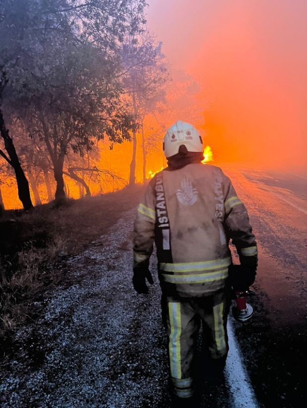 5 bölgede orman yangınları sürüyor! Ayvalık Bergama yolu trafiğe kapatıldı - Resim : 5