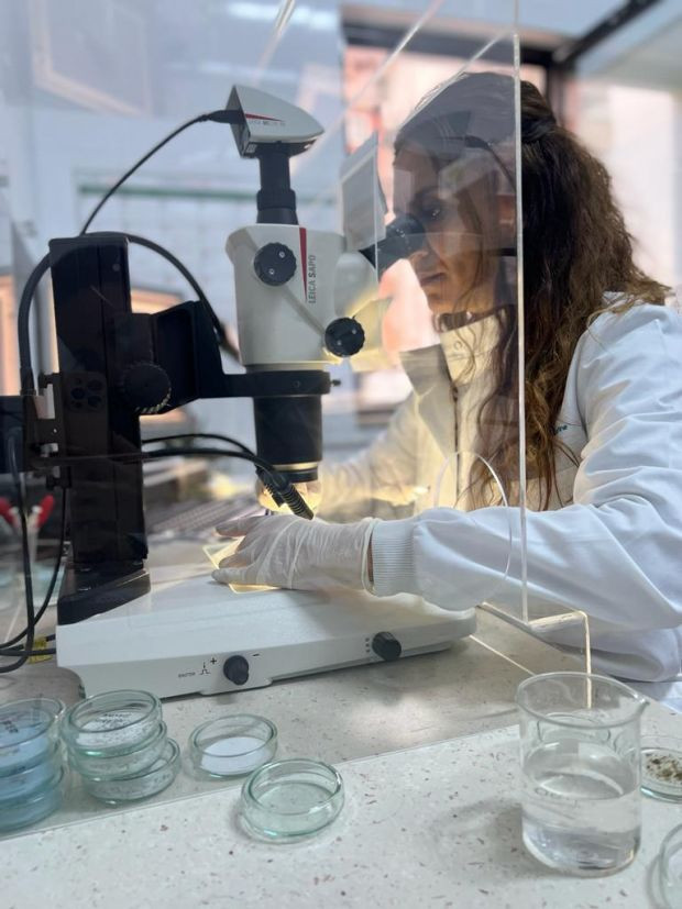 İzmit Körfezi'ndeki her 10 balıktan 4'ünde mikroplastik tespit edildi - Resim : 1