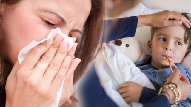 Bu besin adeta mucize yaratıyor! Dünyanın en sağlıklısı... - Resim: 2