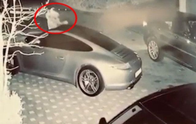 Ece Erken'in eski sevgilisi eşinden boşandı! - Resim: 4