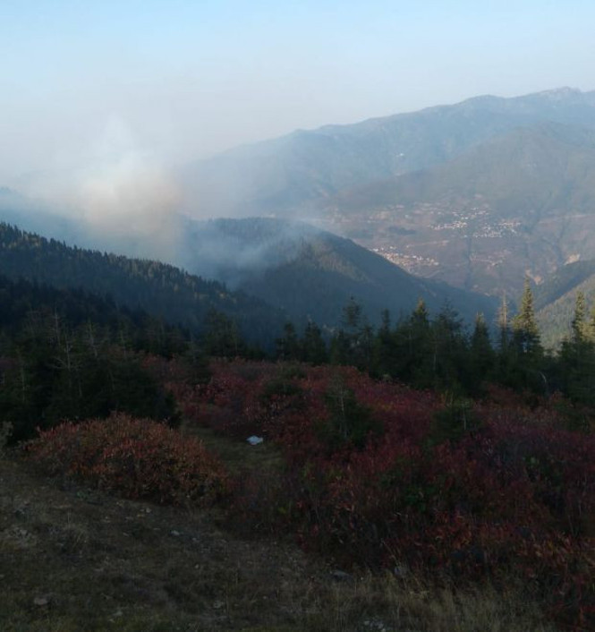 Gümüşhane Örümcek Ormanları'nda yangın - Resim : 1