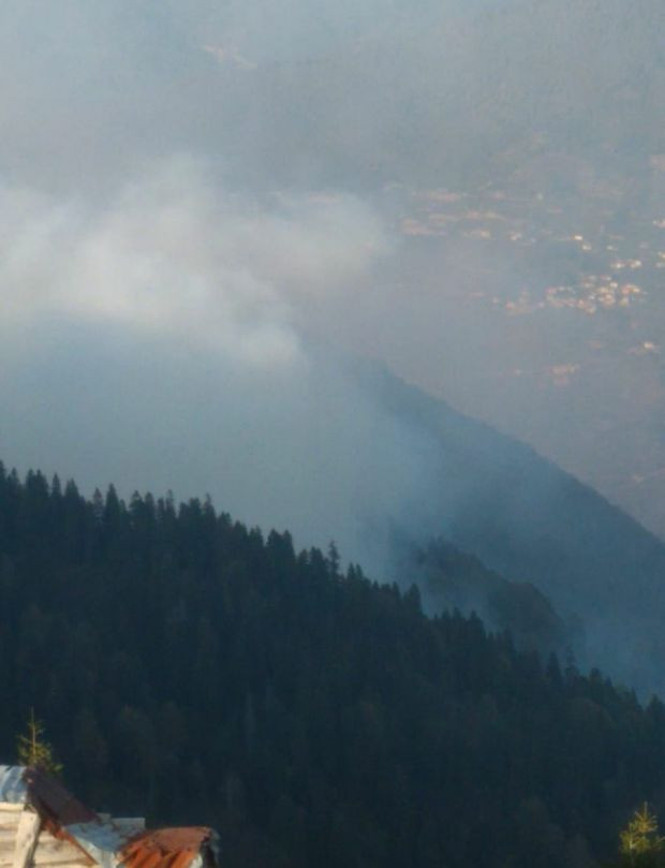 Gümüşhane Örümcek Ormanları'nda yangın - Resim : 2