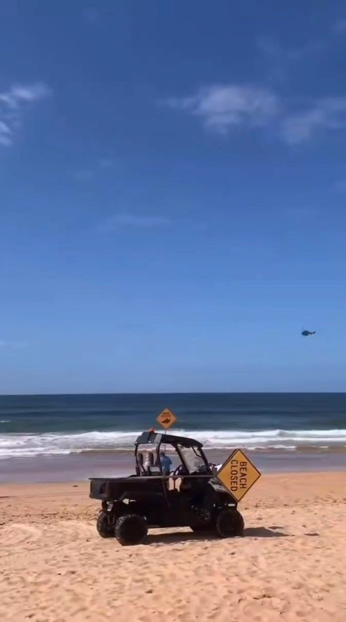 Avustralya'da ölümcül köpek balığı saldırısı - Resim: 1