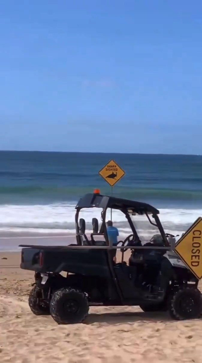 Avustralya'da ölümcül köpek balığı saldırısı - Resim: 2