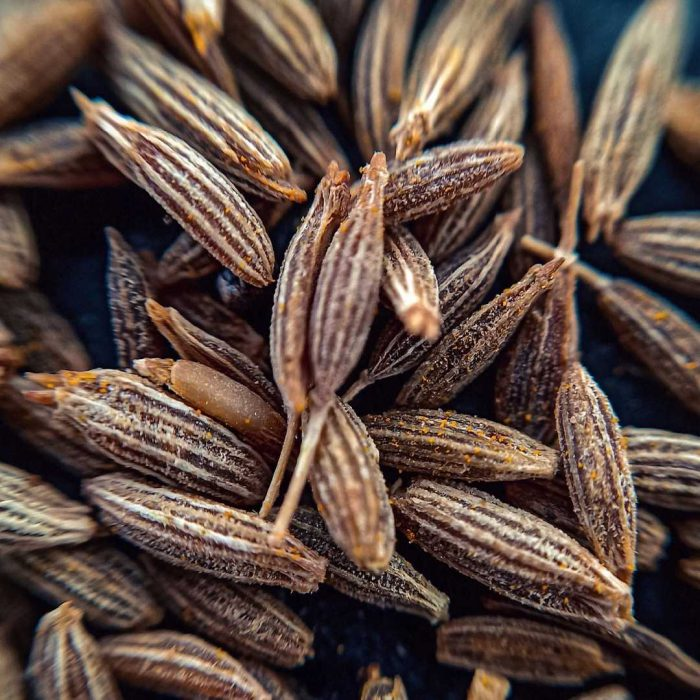 Romalılar, Mısırlılar sağlık için kullandı! İşte sizi baştan sona yenileyecek o besin... - Resim: 4