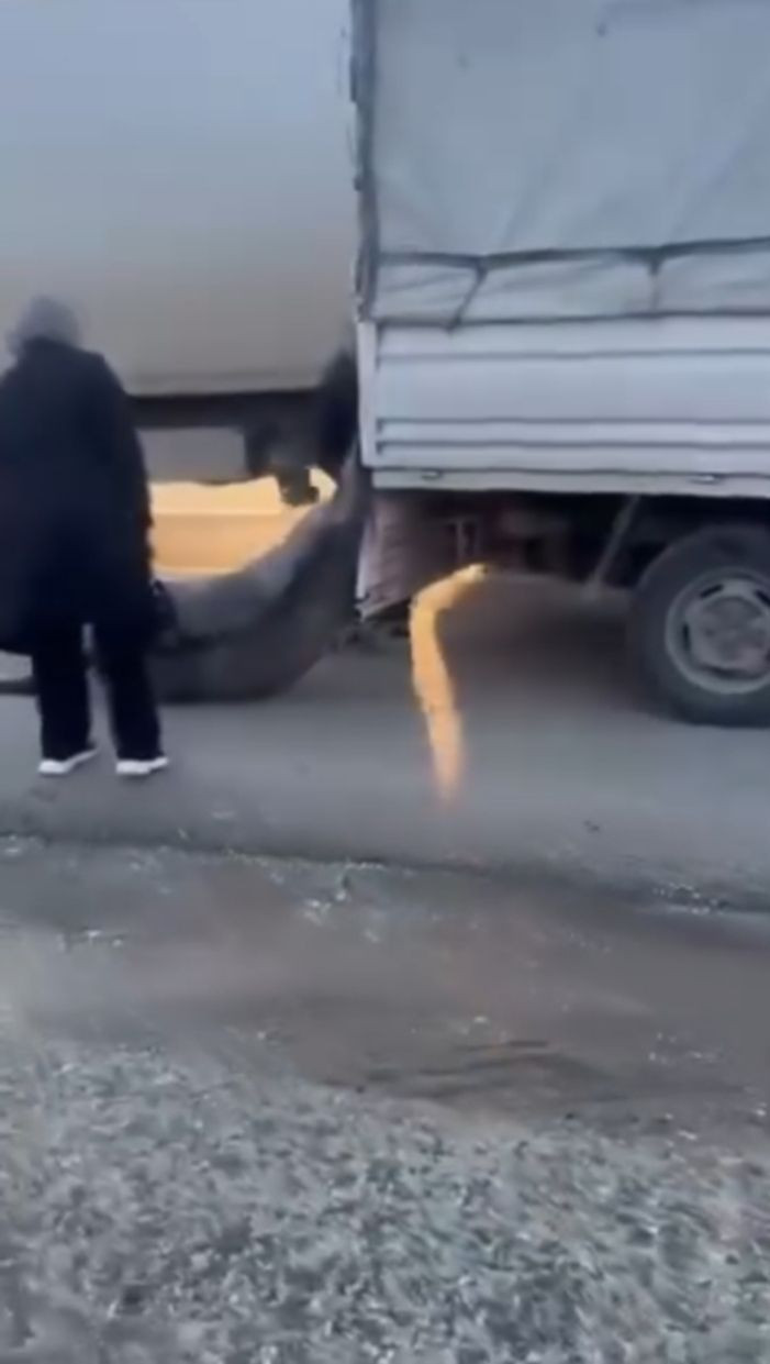 Kamyonetin arkasına bağladığı atı dakikalarca sürükledi - Resim: 3