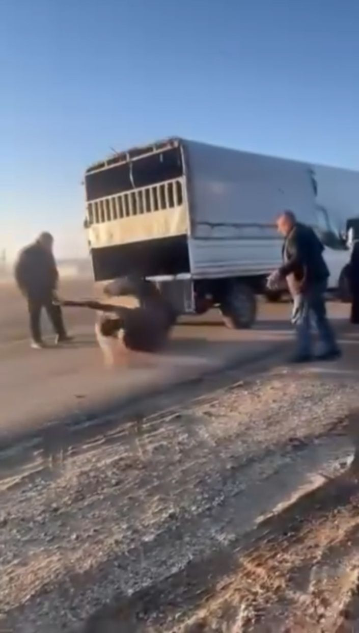 Kamyonetin arkasına bağladığı atı dakikalarca sürükledi - Resim: 1