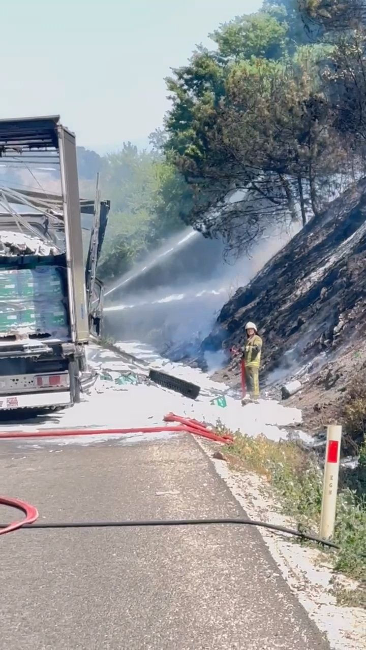 TIR'daki yangın ormana sıçradı; 10 dönüm alan zarar gördü - Resim: 4