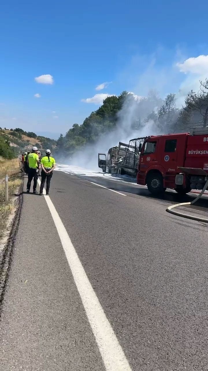 TIR'daki yangın ormana sıçradı; 10 dönüm alan zarar gördü - Resim: 3