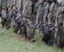 PKK, kendini feshetti ve silah bıraktığını duyurdu
