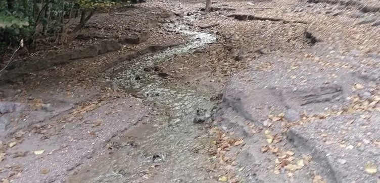 Haftada 13 gram altın çıkarıyor! - Fotoğraf: 6
