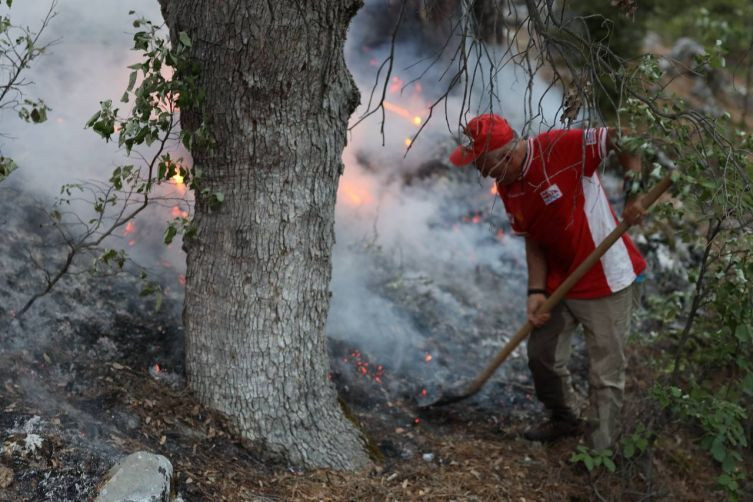 5 ilde alevlerle mücadele sürüyor - Resim: 1