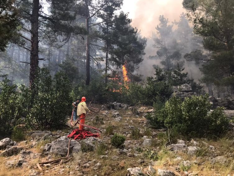 5 ilde alevlerle mücadele sürüyor - Resim: 4