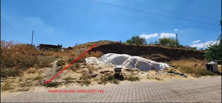Narin’in katledilmesinde Hindistan merkezli yeni rapor; Nevzat Bahtiyar’ın evinin yakınında kaçırılmış - Resim: 3