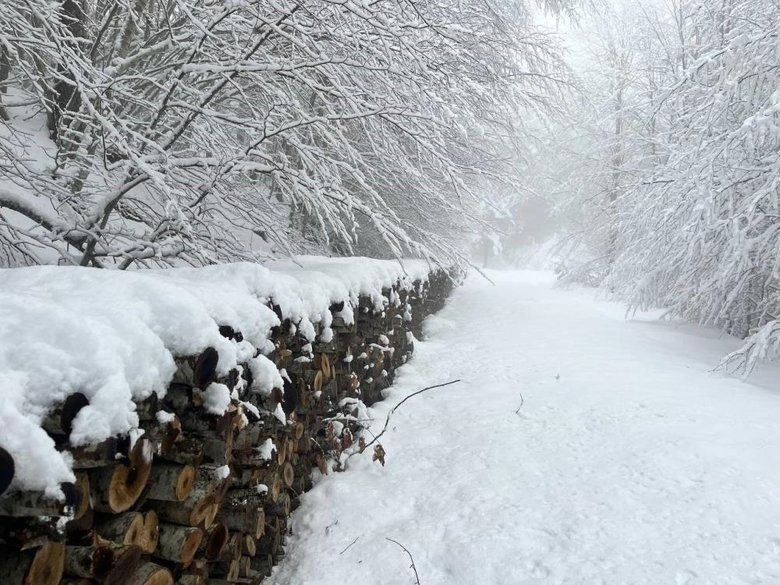 Vatandaşlar dikkat: 23 il için sarı kod verildi! Meteoroloji'den önemli uyarı - Resim: 1