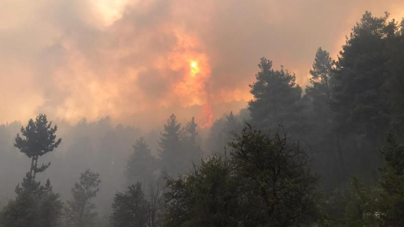 5 ilde alevlerle mücadele sürüyor - Resim: 3