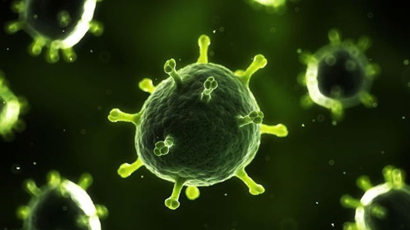 Çin ölümcül virüsle deney yapıyor: Gözler beyaza dönüyor, beyinde kalıcı hasar! - Resim: 2