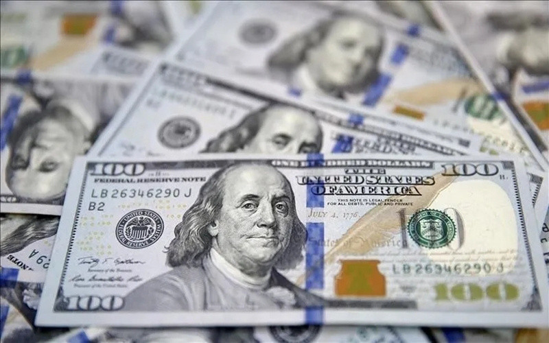 Piyasaların beklediği TCMB anketi açıklandı! Yıl sonu Dolar/TL beklentisi belli oldu - Fotoğraf: 3
