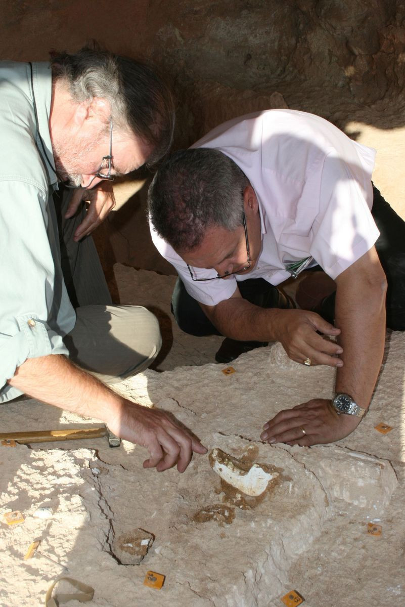 Fas’ta 773 bin yıllık insan fosilleri keşfedildi - Resim: 1