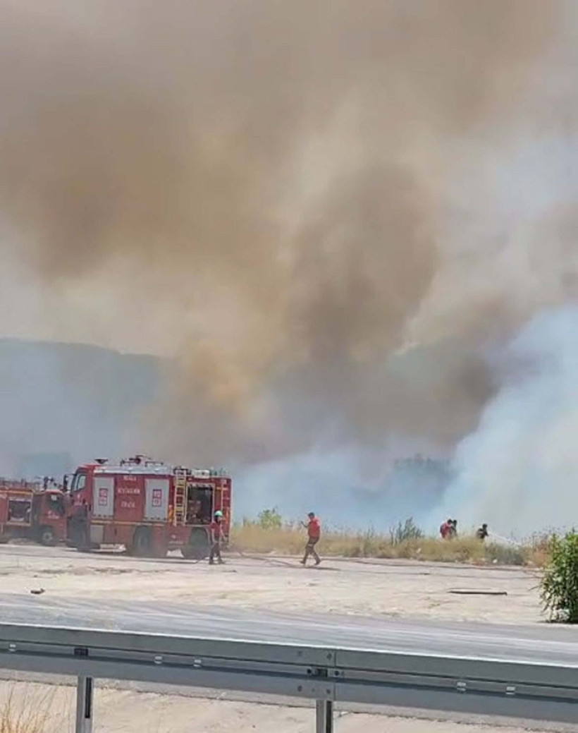 Muğla'da tarım arazisinde yangın - Resim: 1
