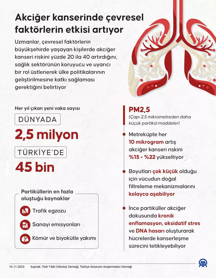 Türkiye'de her yıl 45 bin yeni vaka! Bu illere dikkat: Risk daha fazla! - Resim: 14