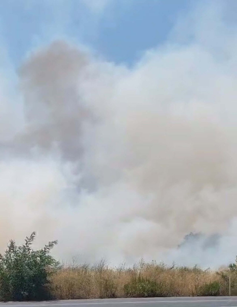 Muğla'da tarım arazisinde yangın - Resim: 2