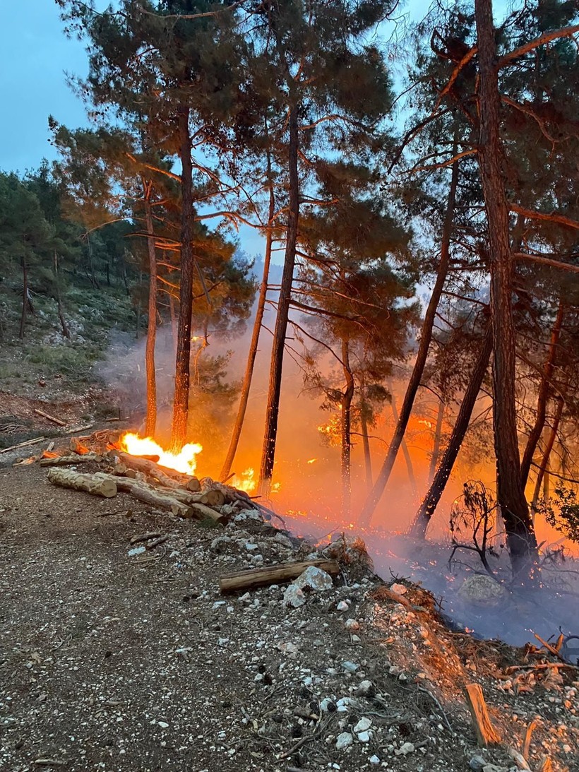 Mersin'de çıkan orman yangını söndürüldü - Resim: 3